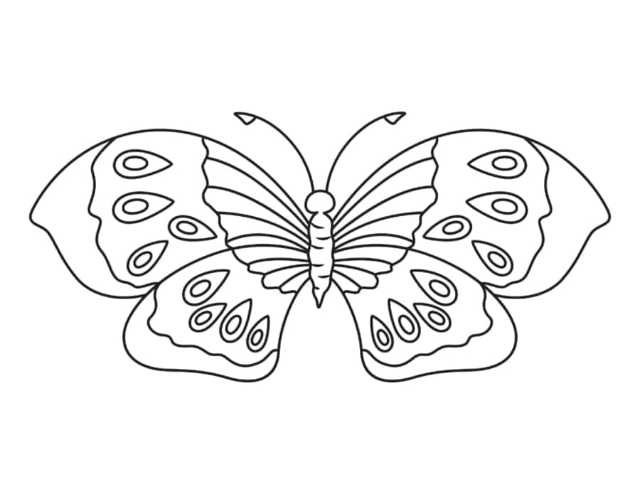Butterfly Eye Spots Tracing Shape Pdf Free Vectors